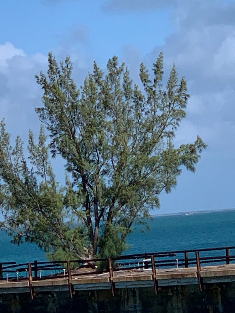 Abandoned Coastal Pier