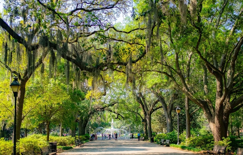 Forsyth Park