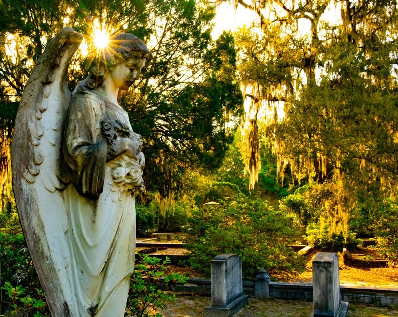 Bonaventure Cemetery