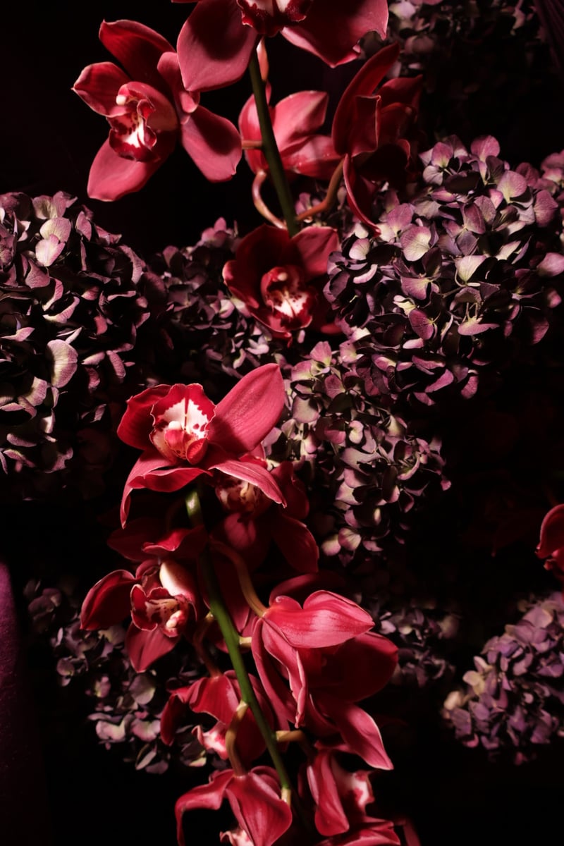 El Paso Municipal Rose Garden