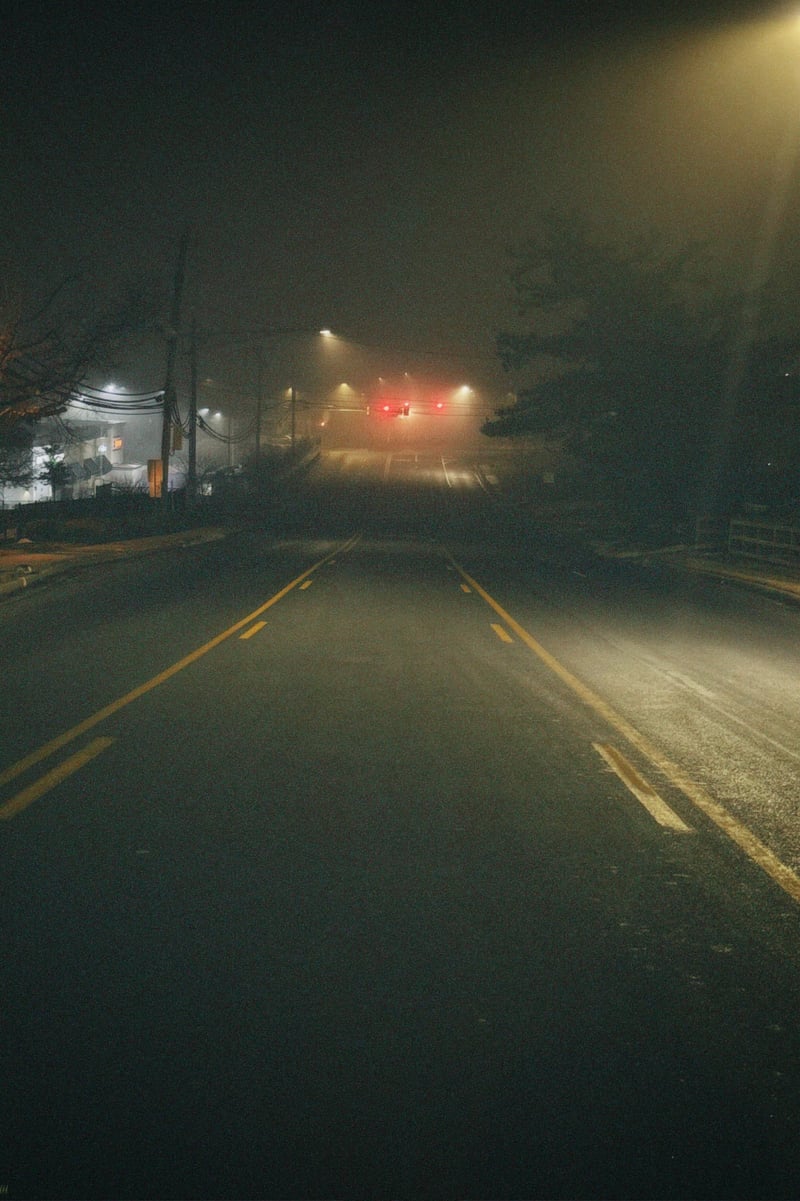 Maiden Choice Lane Foggy Streetscape