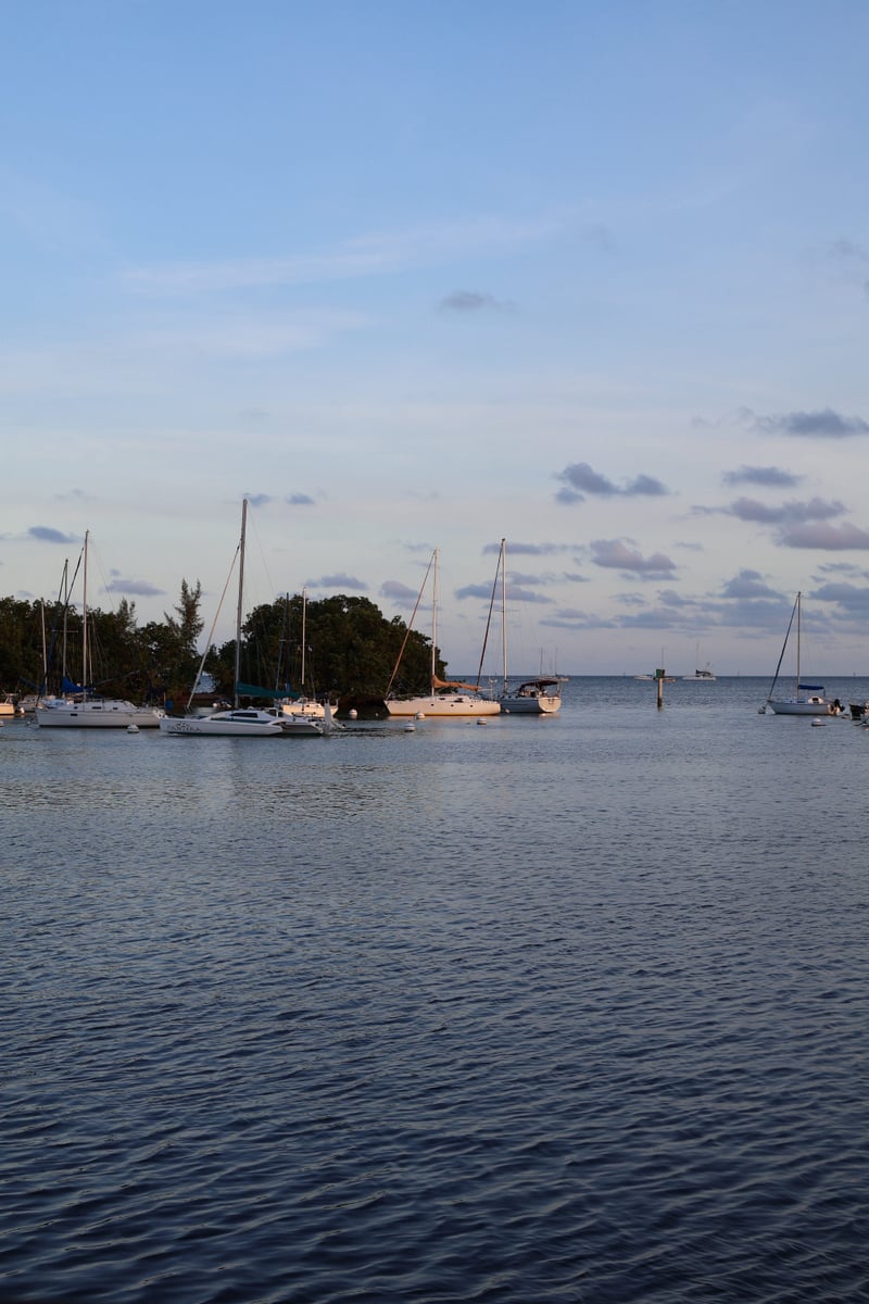 Coconut Grove Waterfront