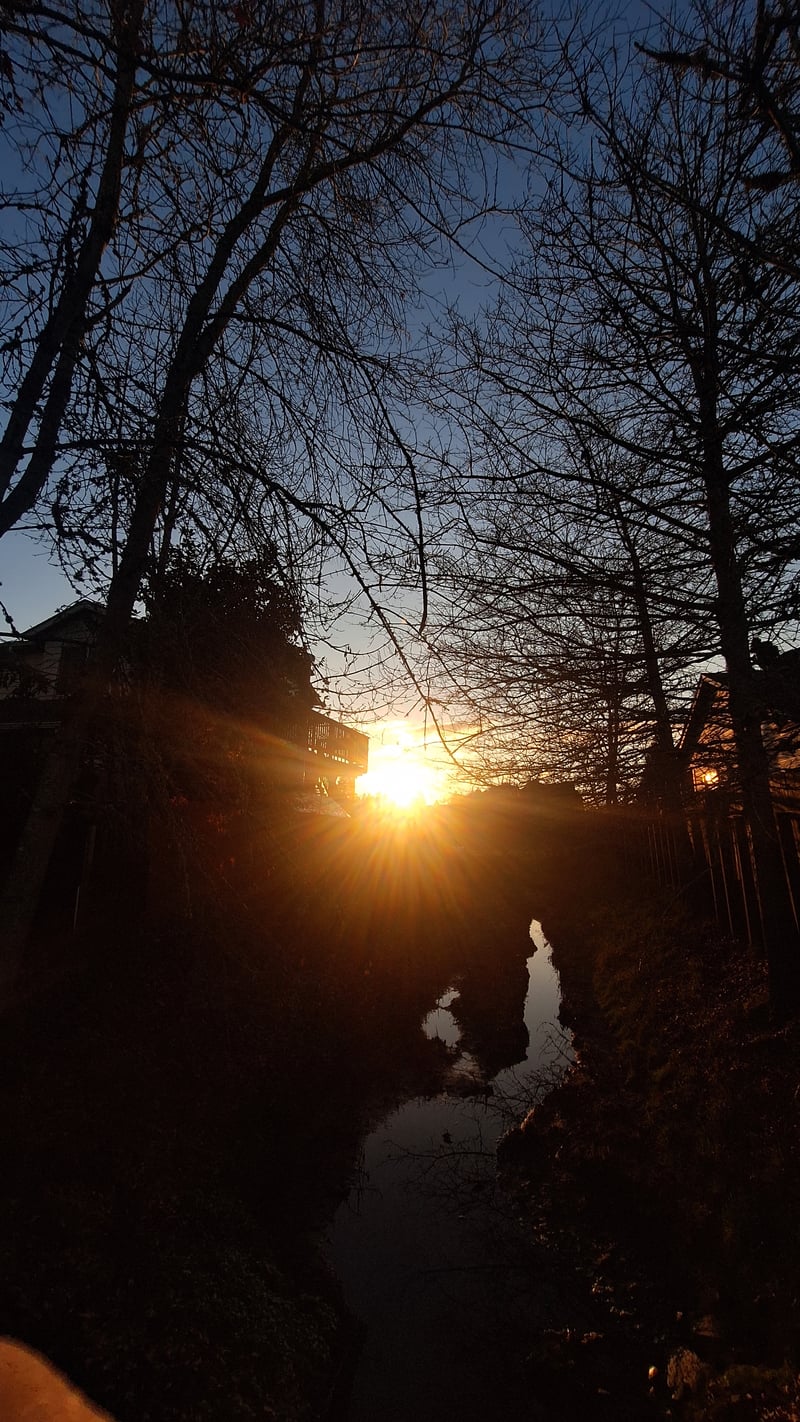 Salem Residential Creek Sunset