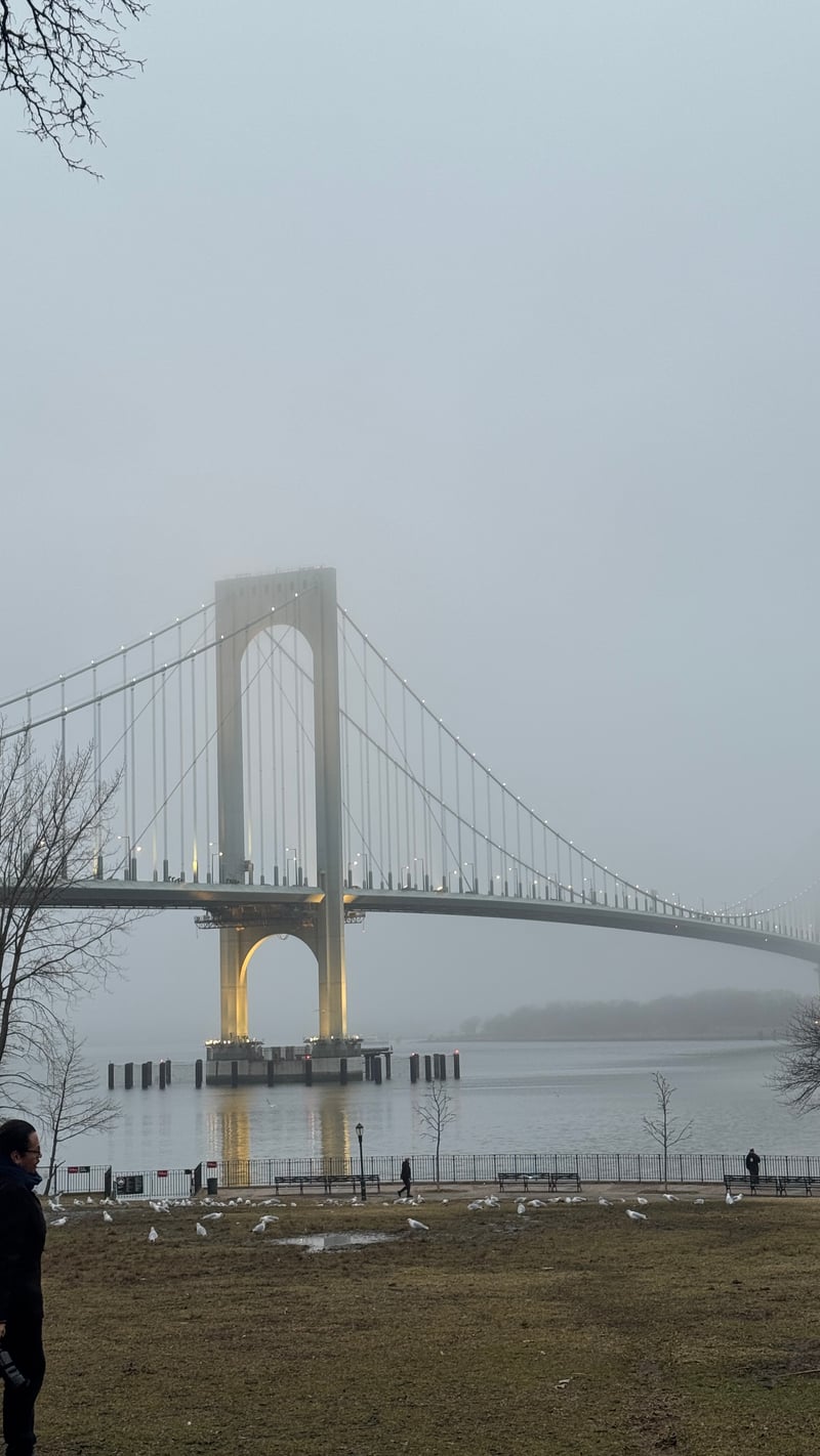 Bronx-Whitestone Bridge from Francis Lewis Park