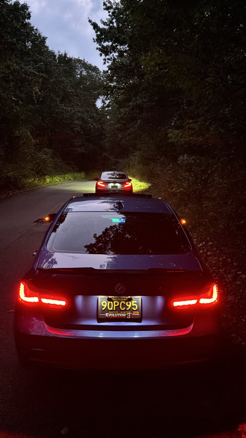 Kensington Metropark Wooded Drive