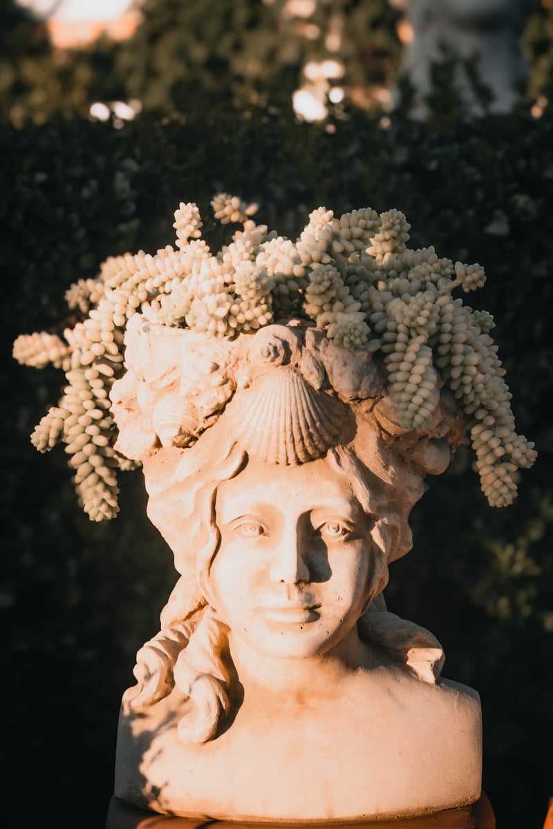 The Flower Fields at Carlsbad Ranch