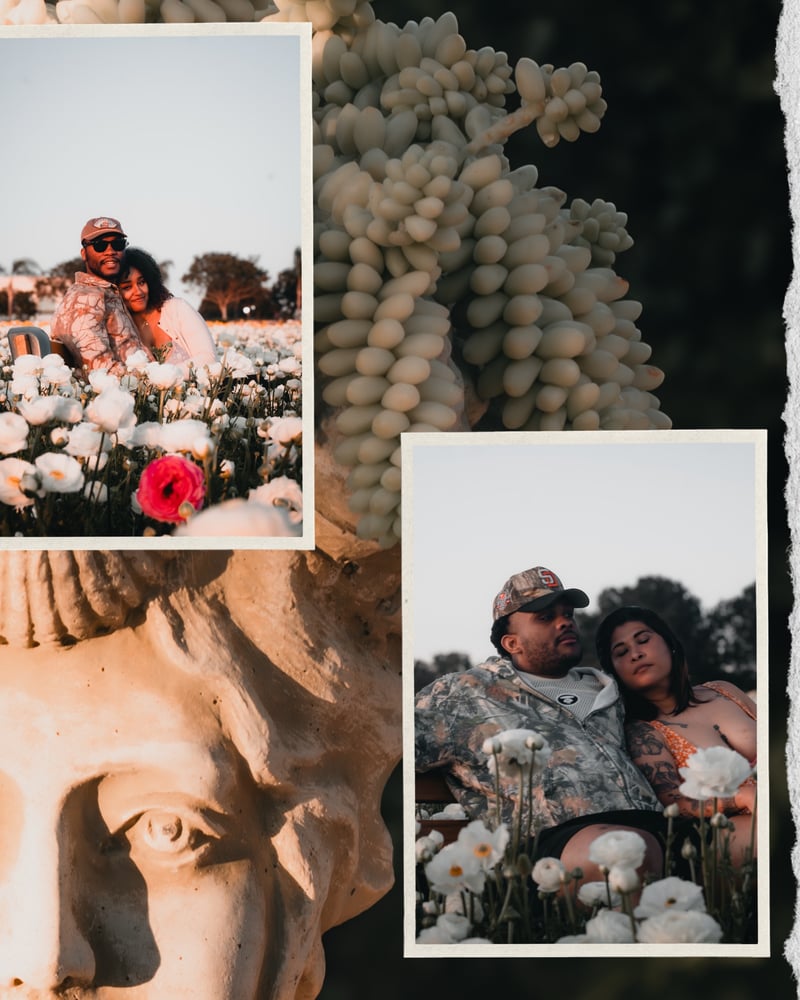 Mission San Luis Rey Gardens