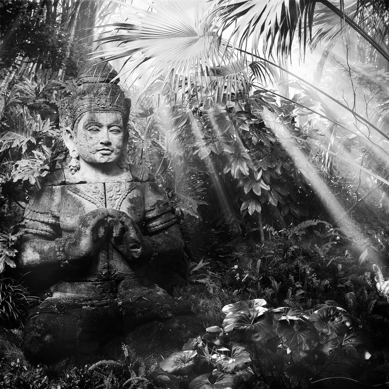 Maharajah Jungle Trek