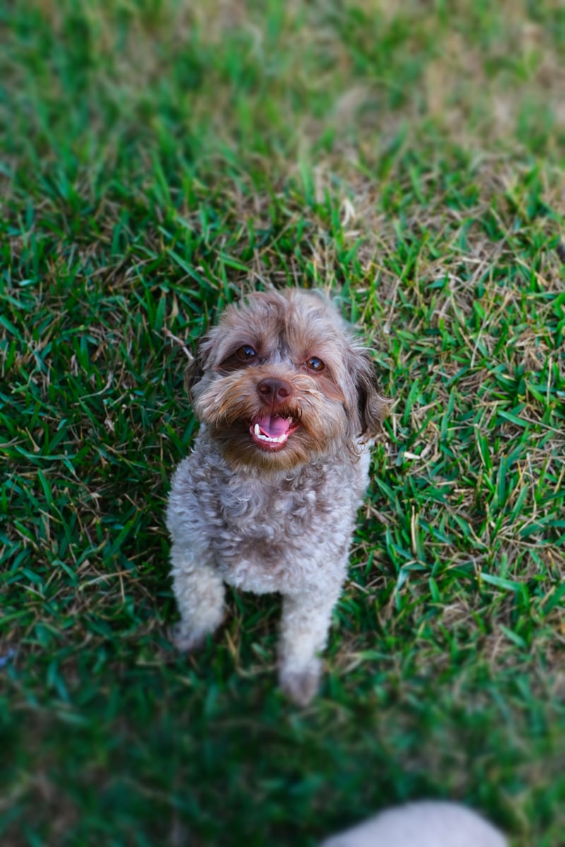 Walden Lake Residential Park