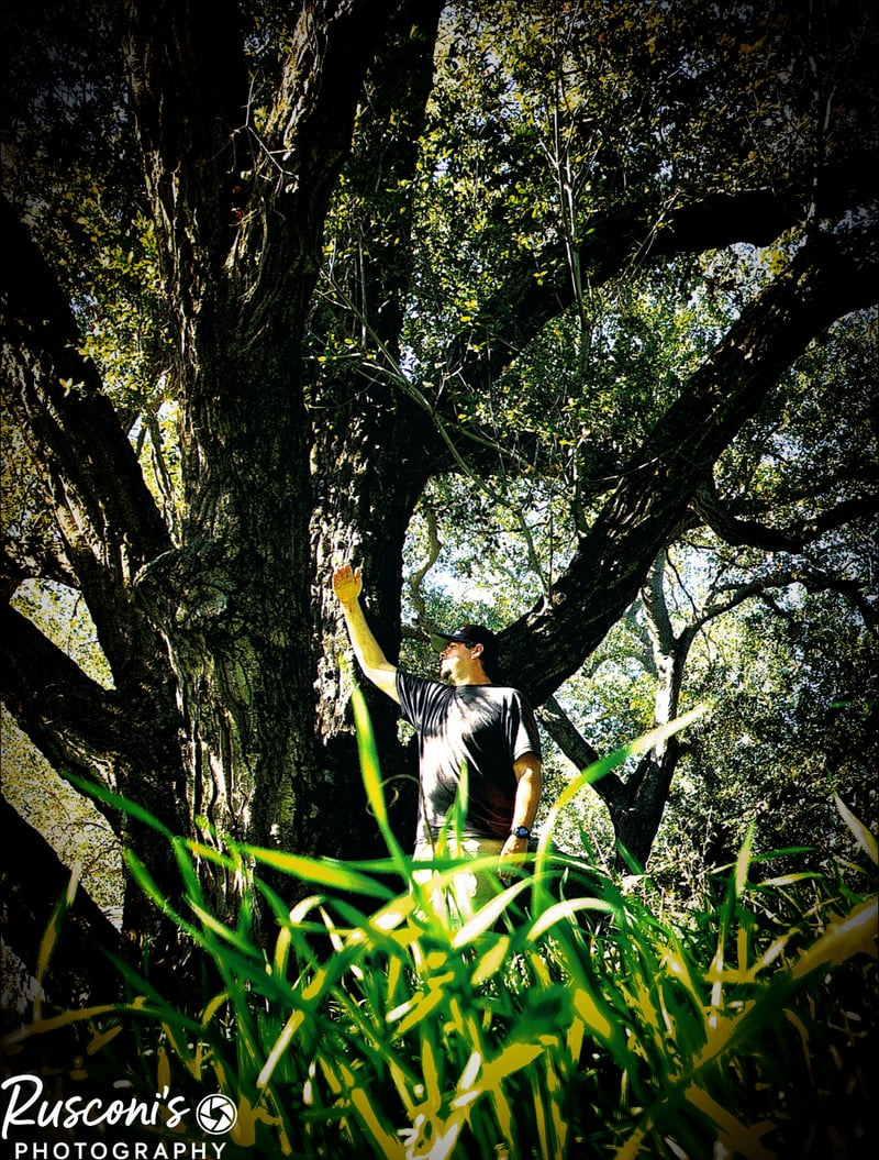 Dulzura Vineyard Oak Groves