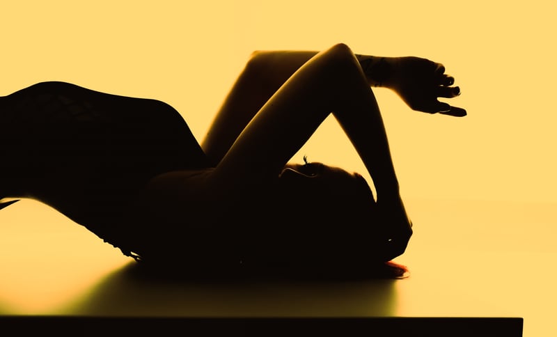 Petaluma Silhouette Studio