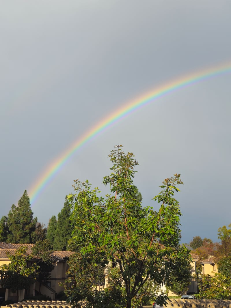 Rancho Alisal Neighborhood