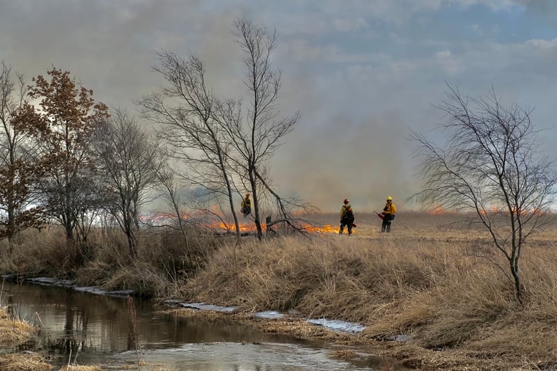 Buena Vista Wildlife Area