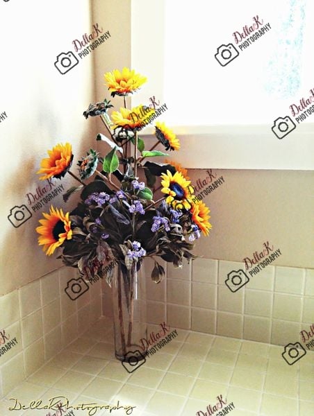 Tacoma Theater District