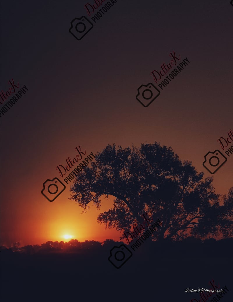 Denver Downtown Sunrise Overlook