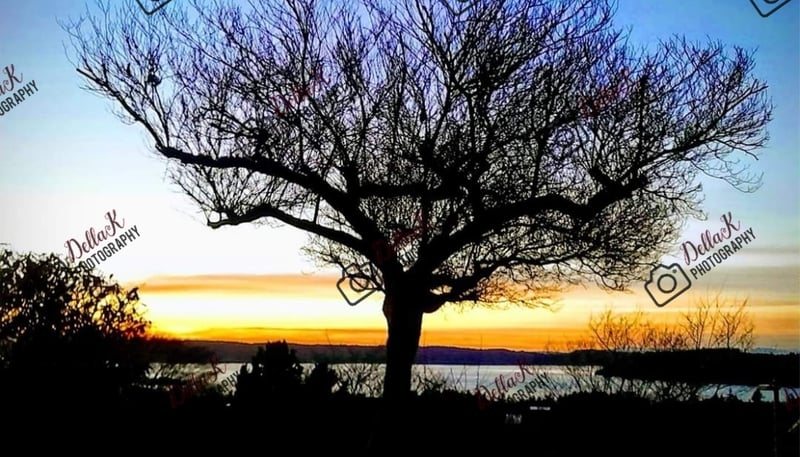 Commencement Bay Overlook