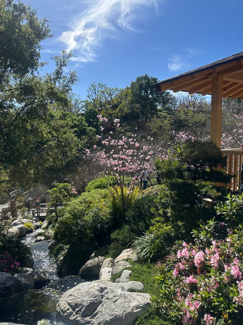 Japanese Friendship Garden