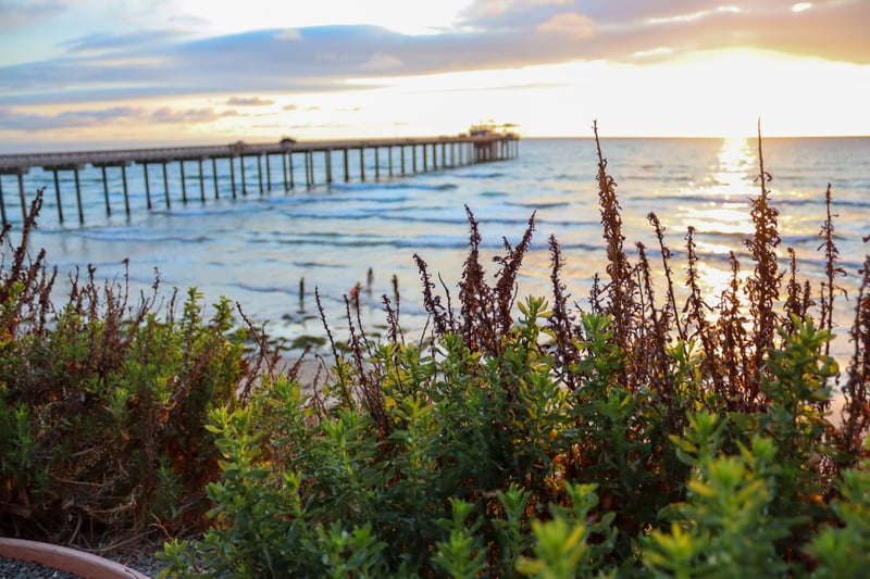 Scripps Pier