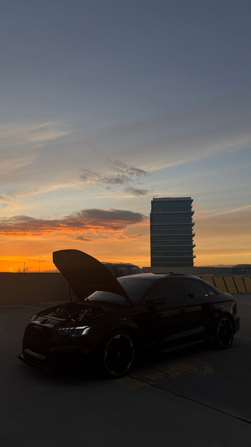 Netpark Tampa Bay Rooftop