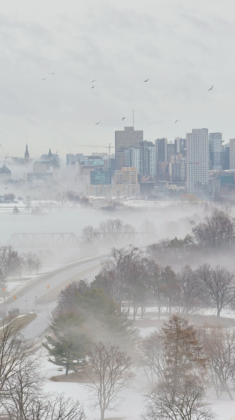 Ottawa Skyline Overlook