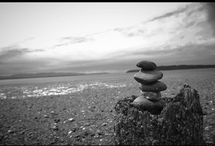 Puget Sound Shoreline