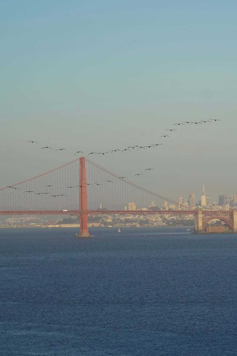 Golden Gate Bridge Overlook from Marin Headlands