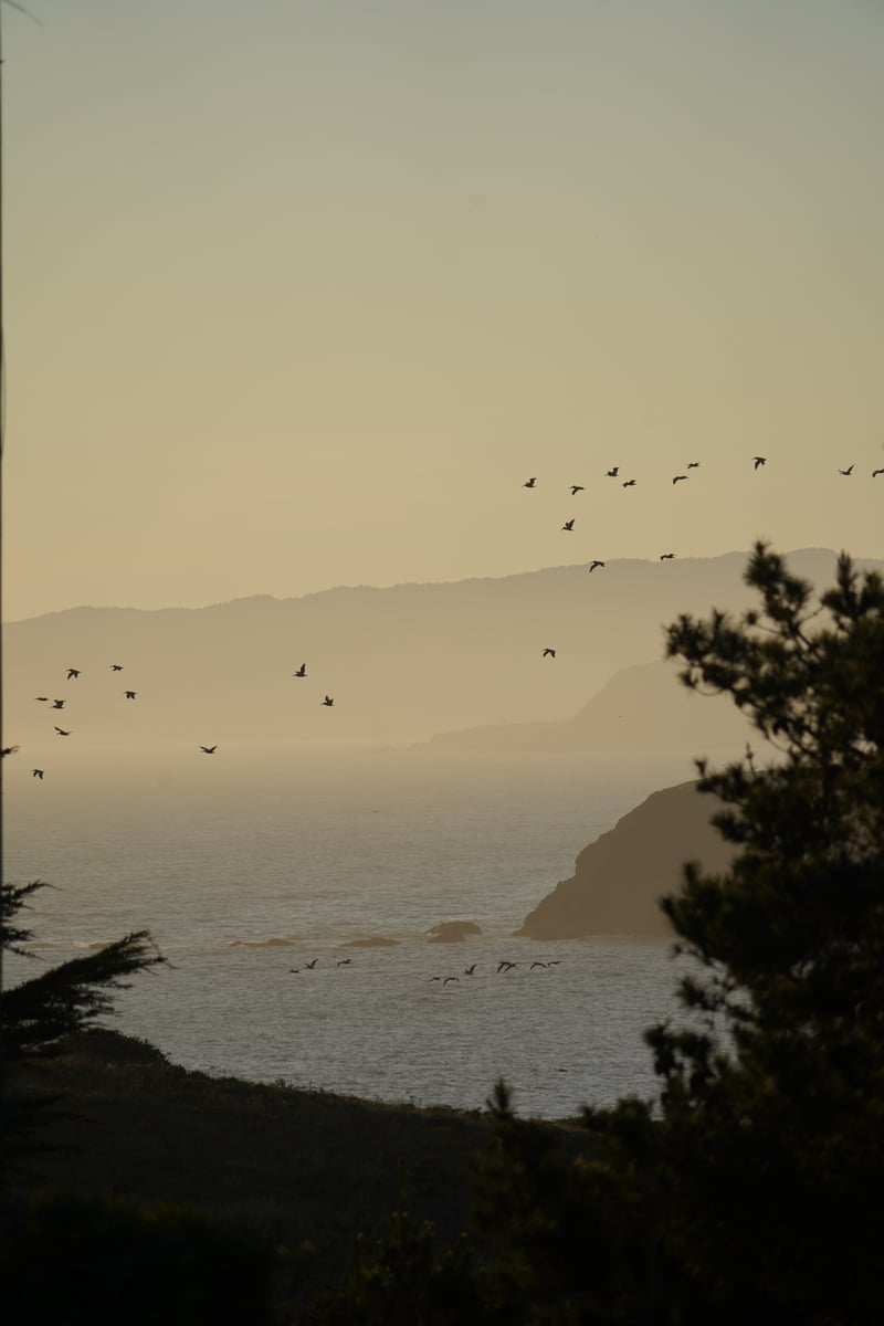 Marin Headlands Coastal Overlook