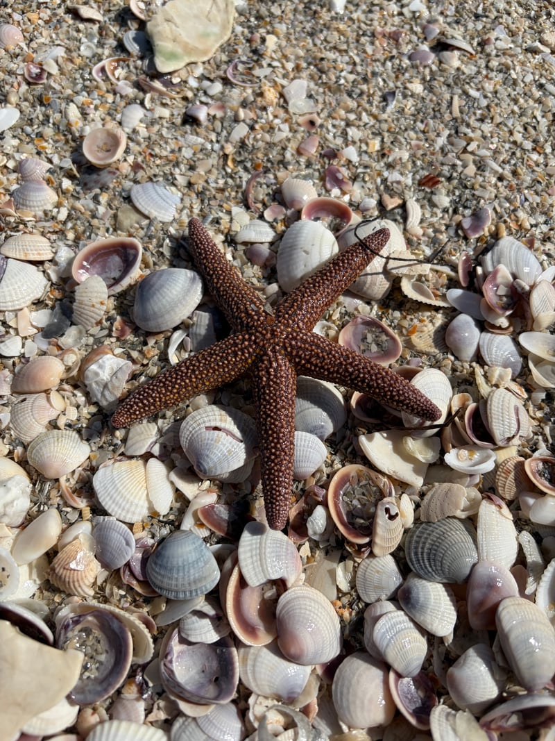 North Shore Park Beach