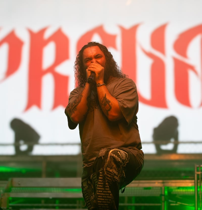 Cynthia Woods Mitchell Pavilion