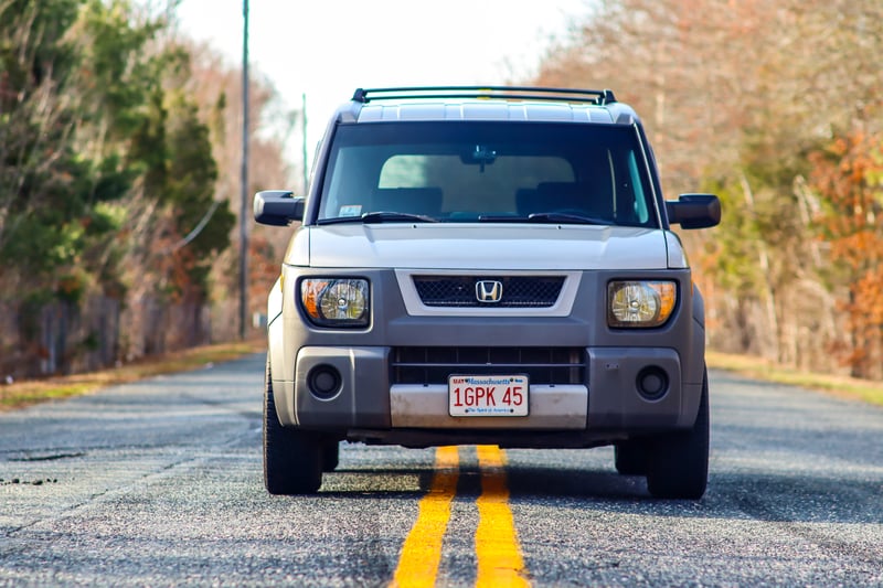 Woodland Country Road