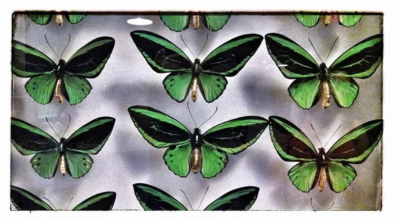 Westfield Washington Public Library