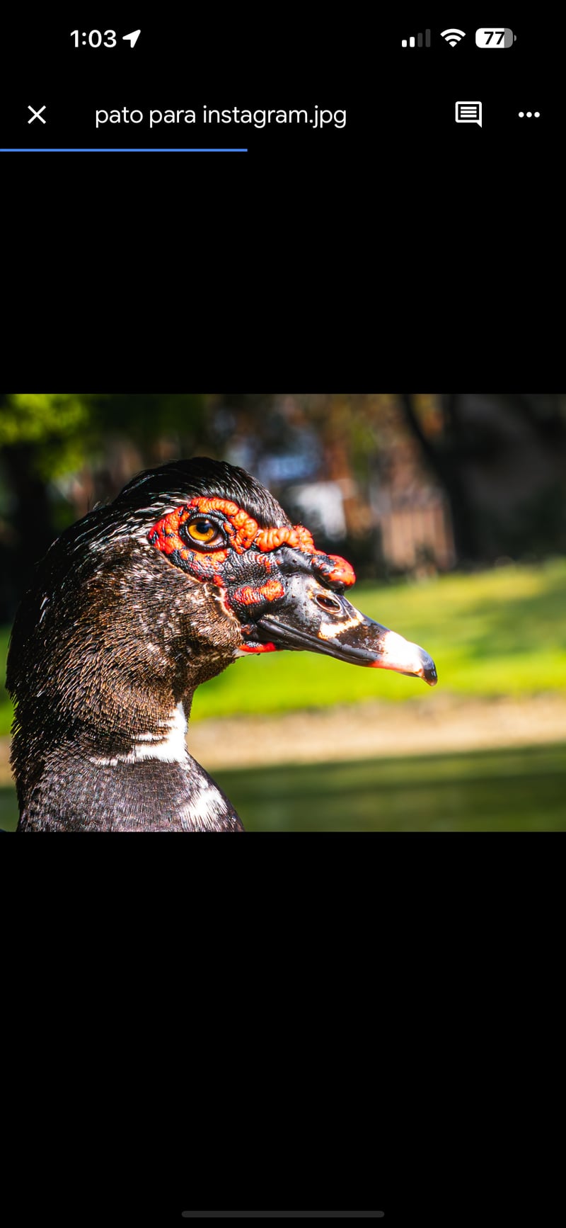 The Hammocks Lakefront