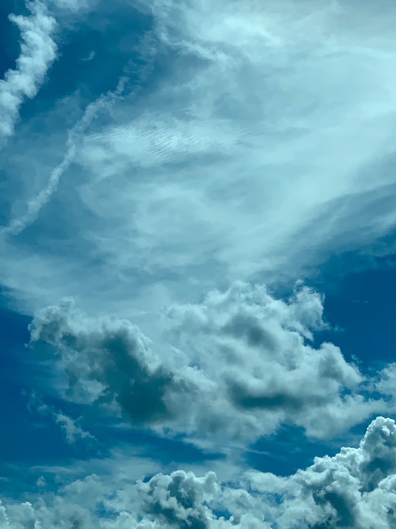 Three Lakes Wildlife Management Area