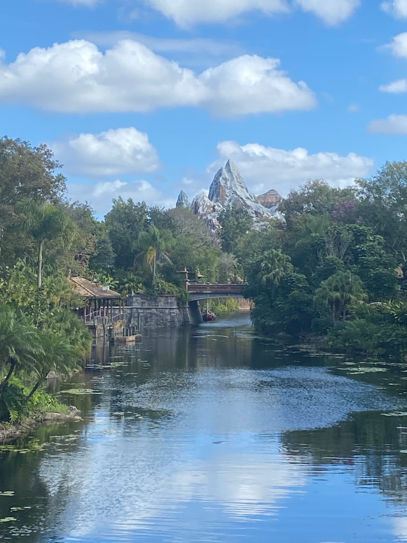 Expedition Everest View from Discovery River