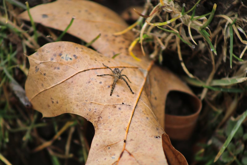 Cascade Valley Metro Park