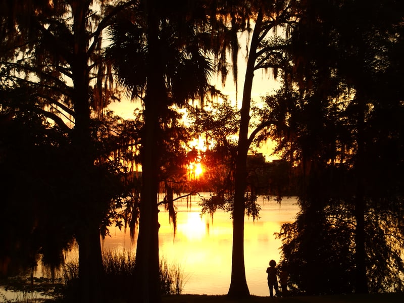 Harry P. Leu Gardens