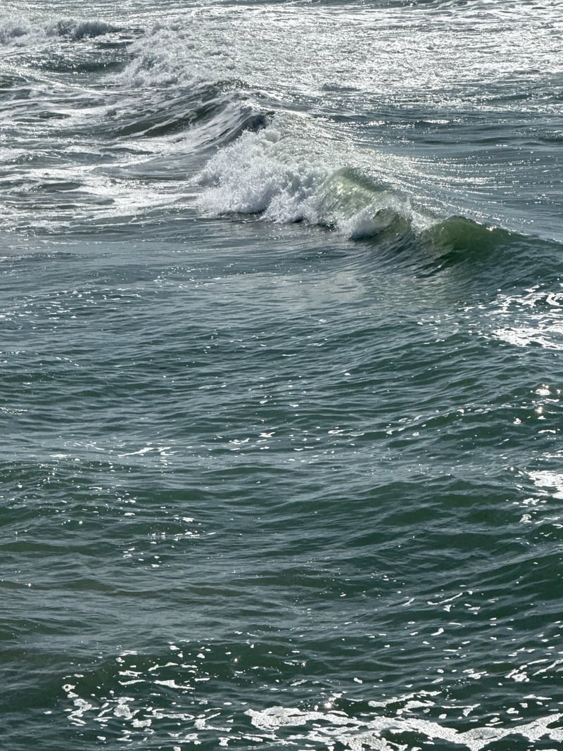 Huntington Beach Pier