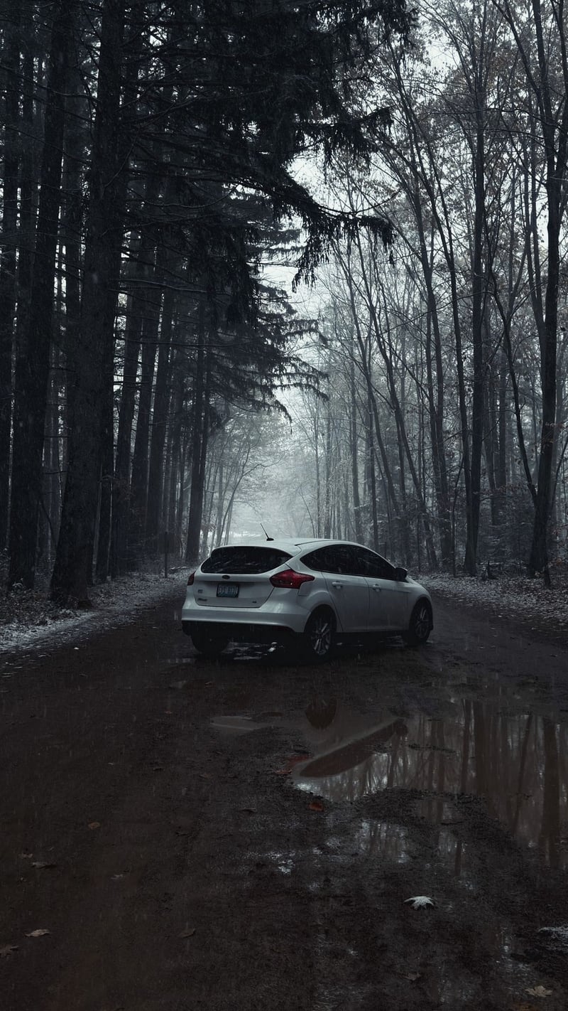 Oakland Township Forest Road