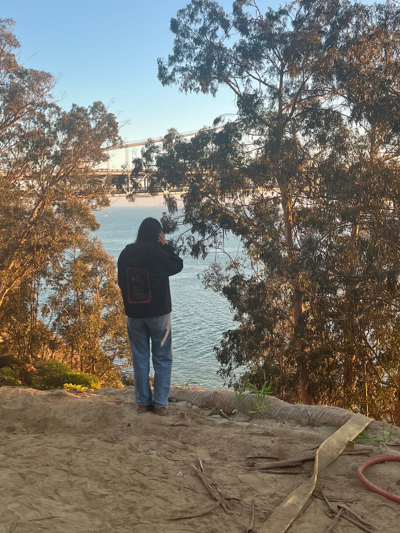 Yerba Buena Island Bay Bridge Overlook