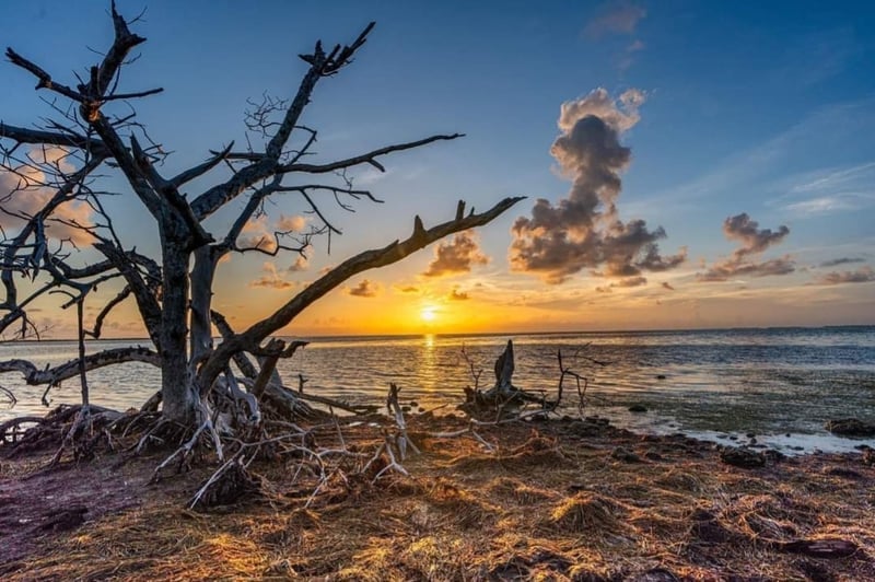 Big Pine Key Shoreline