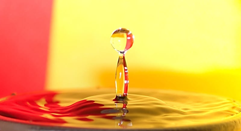 Westmeadow Macro Studio