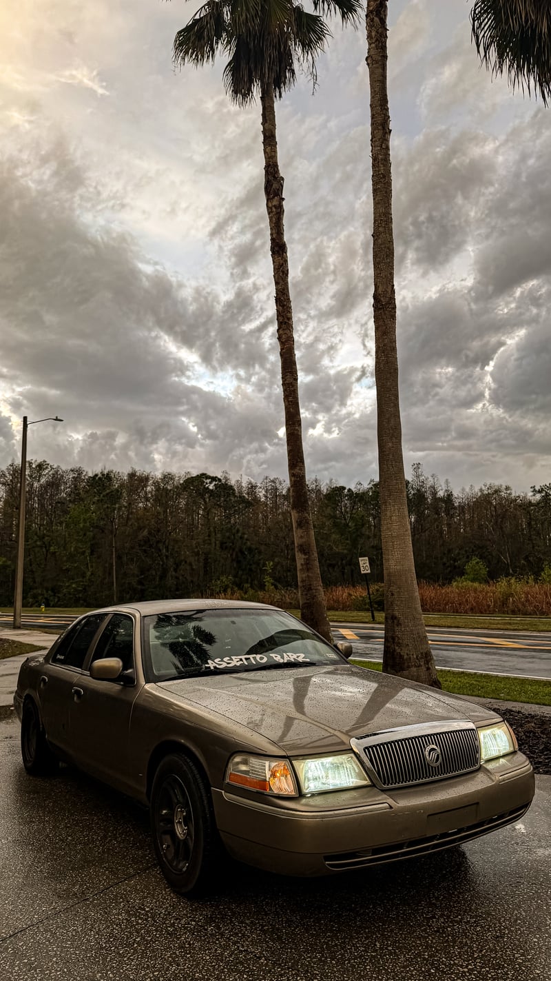 Tampa Palms Roadside Pull-off