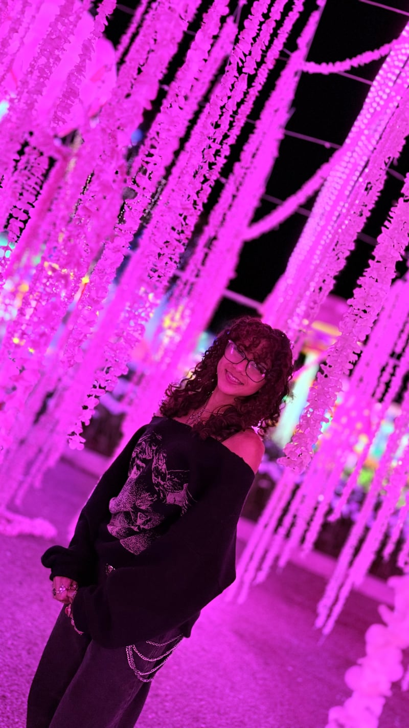 Ontario Mills Light Installation