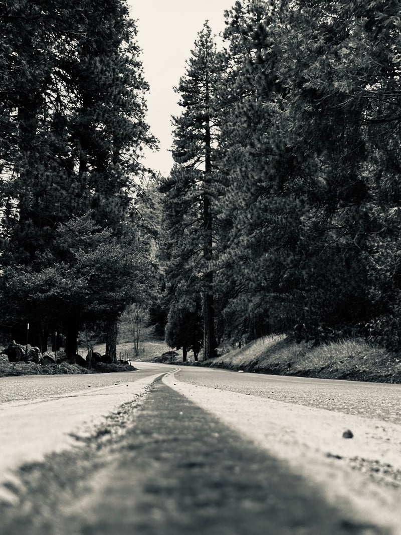 Crestline Forest Road