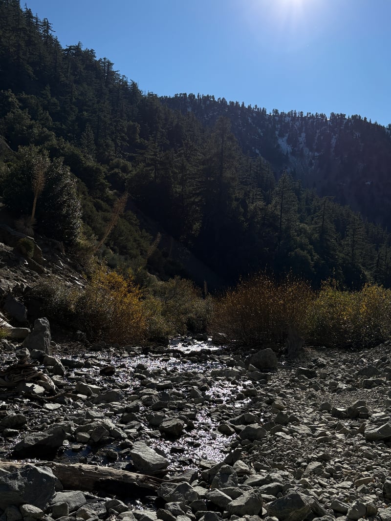 San Antonio Creek at Manker Flat