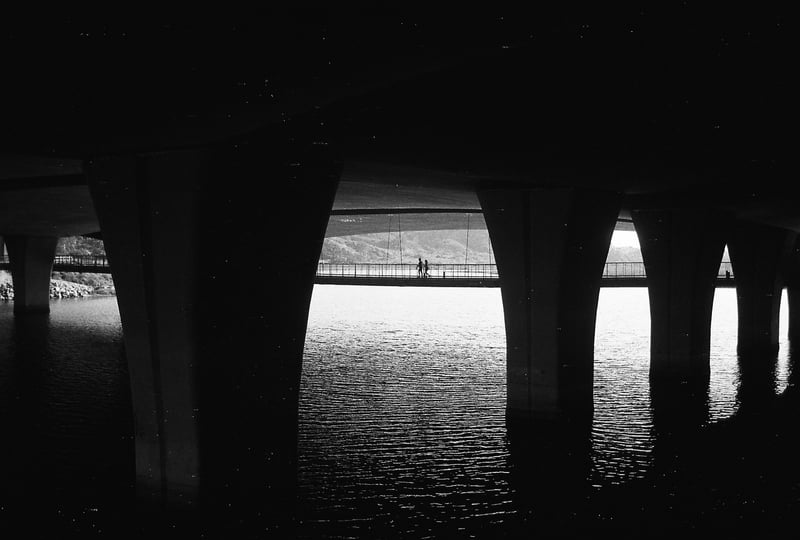 San Elijo Lagoon Bridge Underpass
