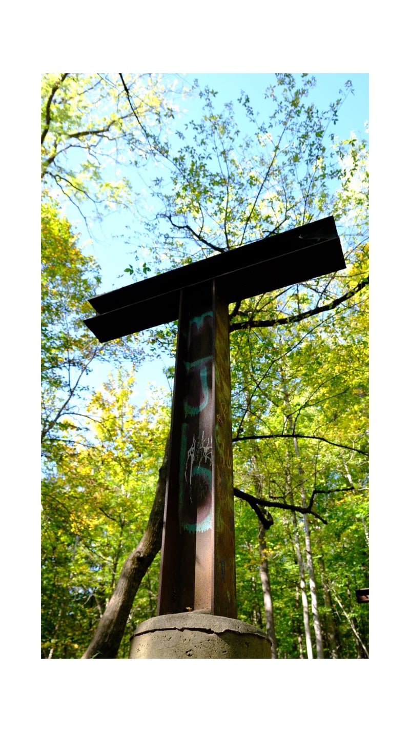 Monon Trail Woodland Path