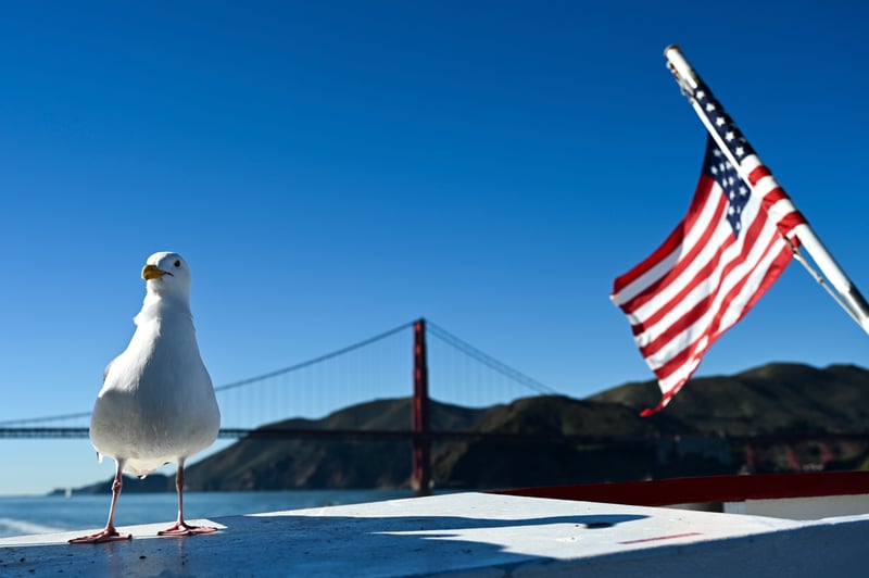 Golden Gate Bridge from San Francisco Bay