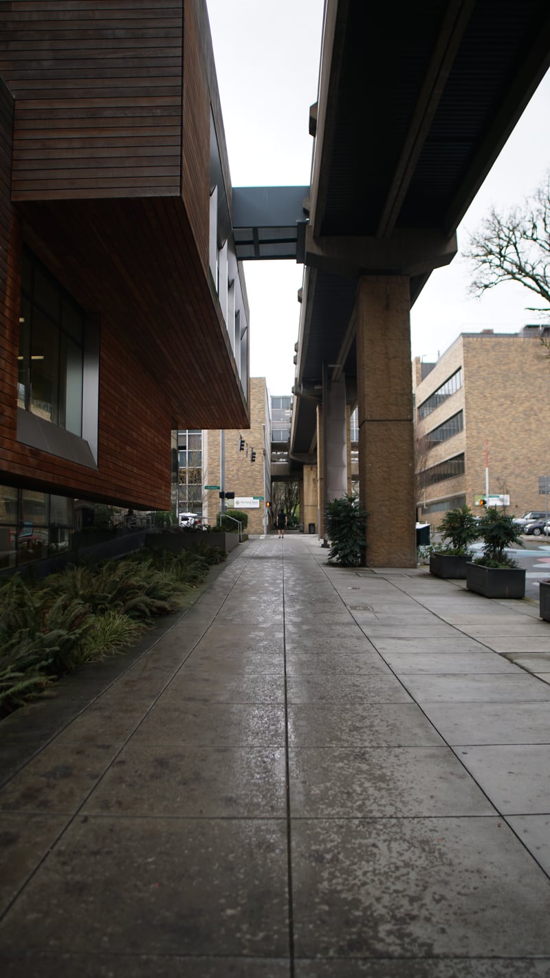 PSU Campus Skybridge Walkway