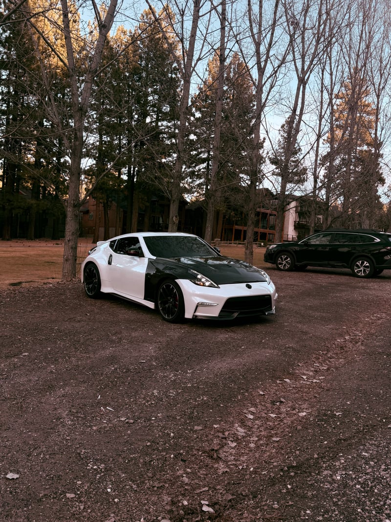 Bear Mountain Forest Retreat